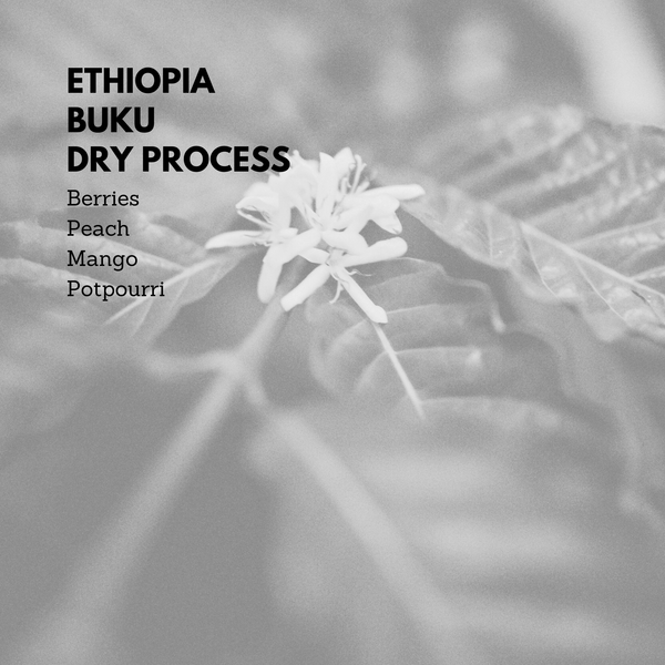 Ethiopia Buku Dry Process