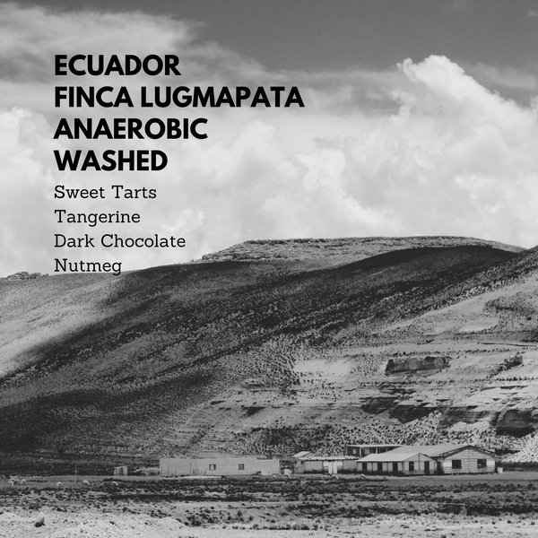 Ecuador Finca Lugmapata Anaerobic Washed