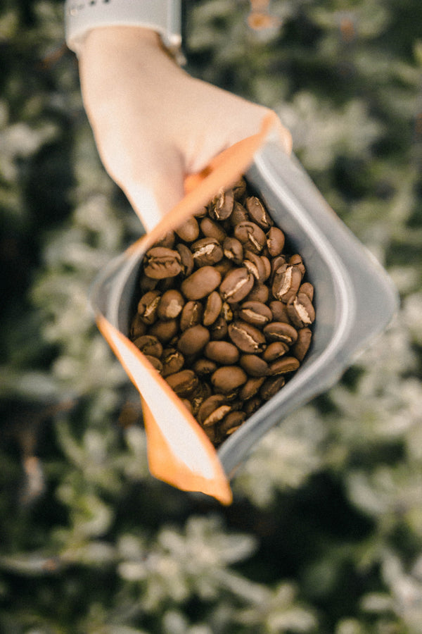 Rare Coffees