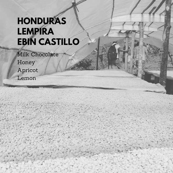 Honduras Lempira Ebin Castillo