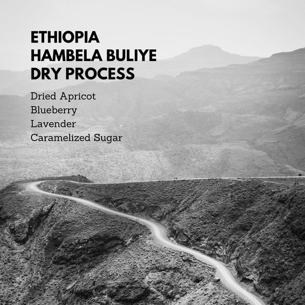 Ethiopia Hambela Buliye Dry Process