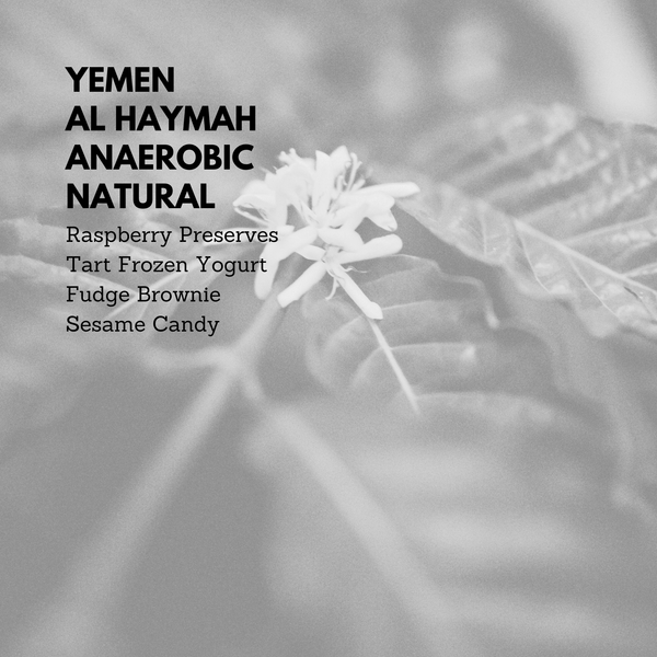 Yemen Al Haymah Anaerobic Natural