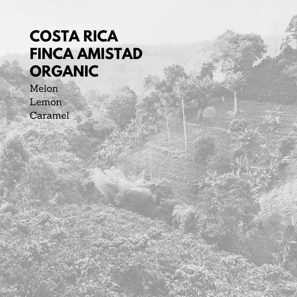 Costa Rica Finca Amistad