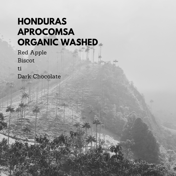 Honduras Aprocomsa Organic