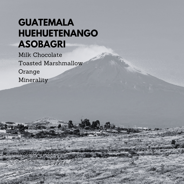 Guatemala Huehuetenango Asobagri