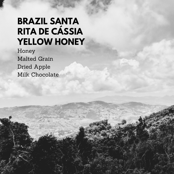 Brazil Carlos Santa Rita de Cássia Yellow Honey