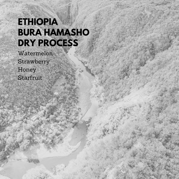 Ethiopia Hamasho Dry Process