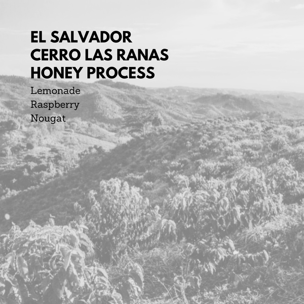 El Salvador Cerro Las Ranas Honey