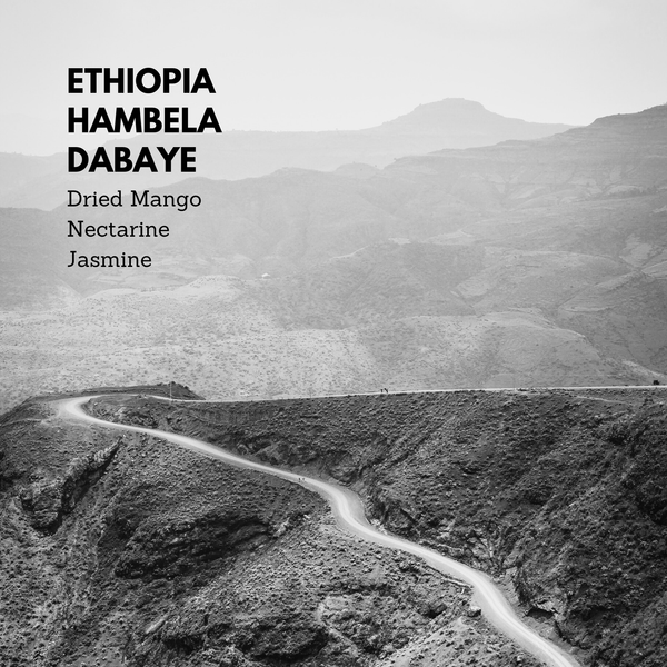Ethiopia Hambela Dabaye