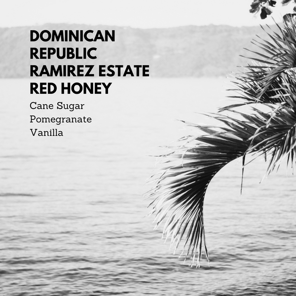 Dominican Republic Ramirez Estate Red Honey Process