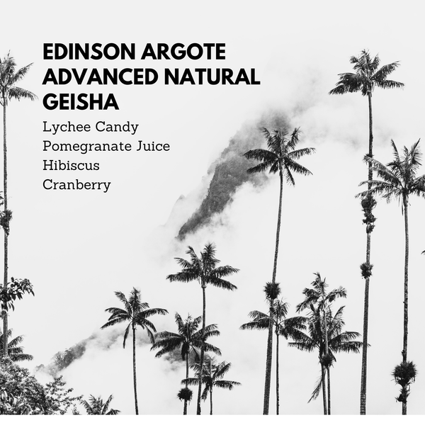 Edinson Argote Advanced Natural Geisha