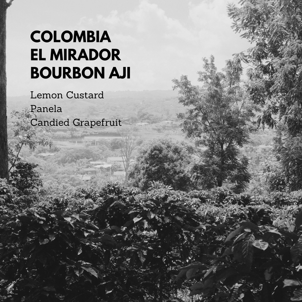 Colombia El Mirador Bourbon Aji