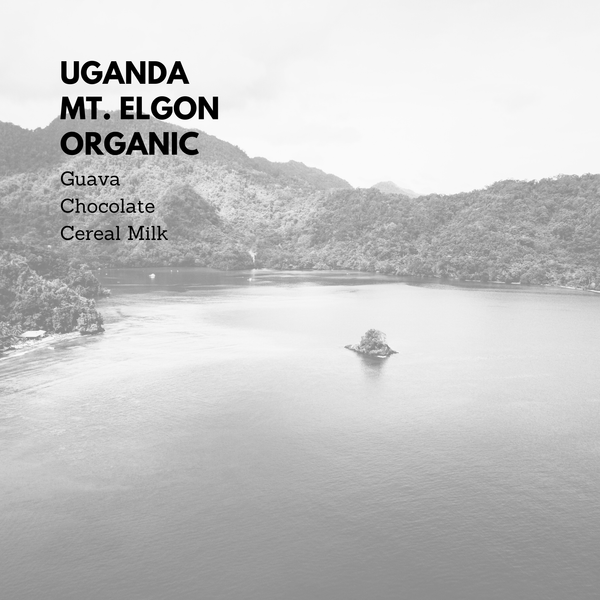 Uganda Mt. Elgon Organic