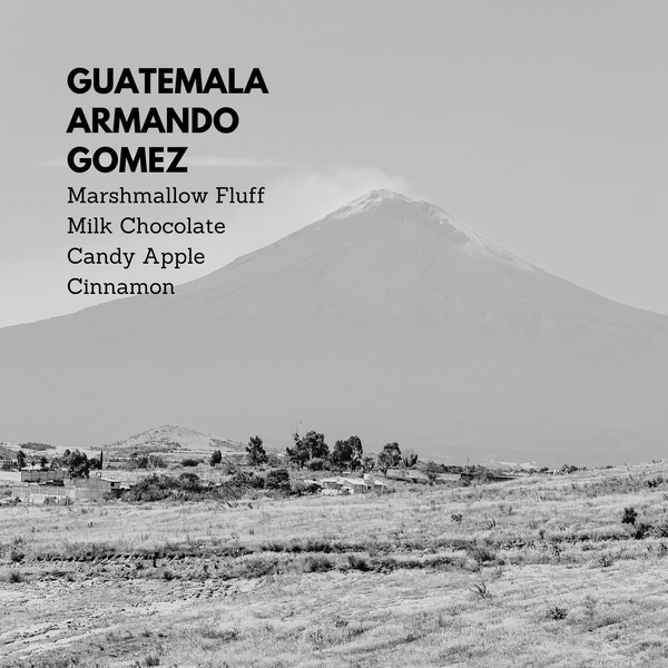 Guatemala Armando Gomez