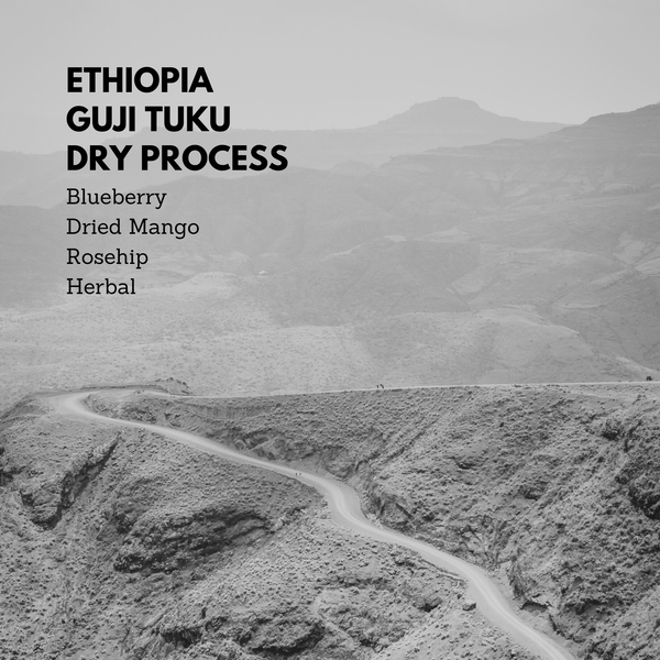 Ethiopia Guji Tuku Dry Process