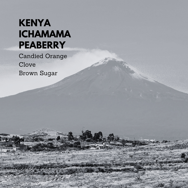 Kenya Ichamama Peaberry