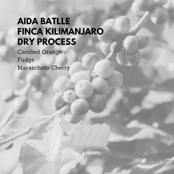 Aida Batlle Finca Kilimanjaro Dry Process