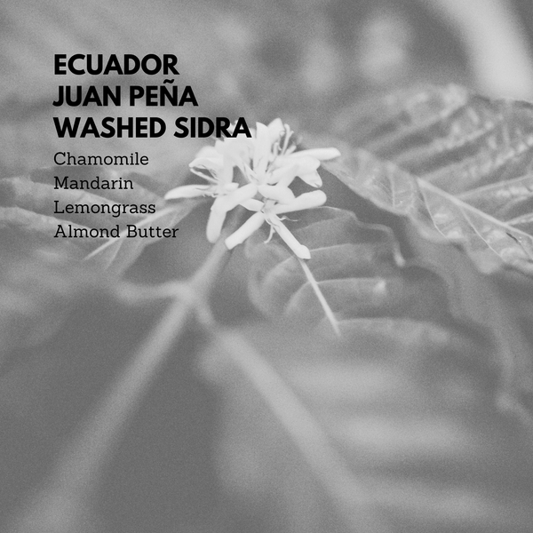 Ecuador Juan Peña Sidra