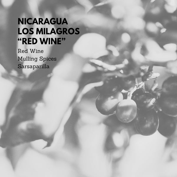 Nicaragua Los Milagros "Red Wine"