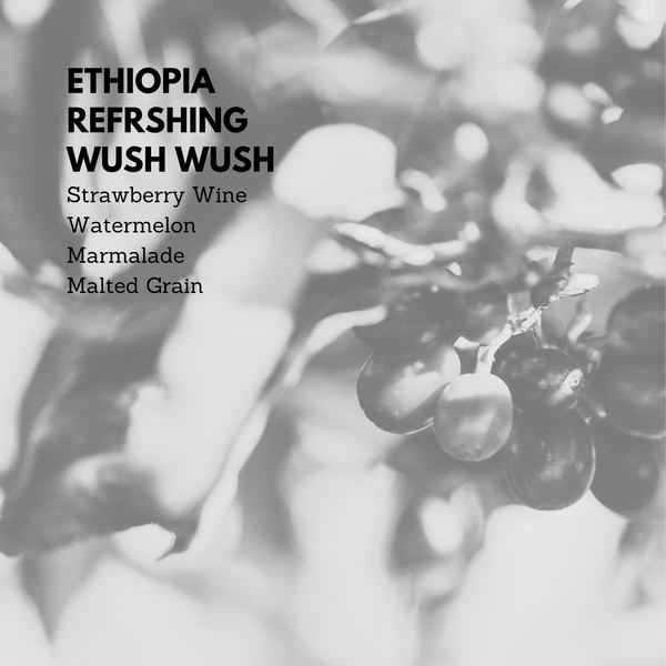 Ethiopia Refreshing Wush Wush