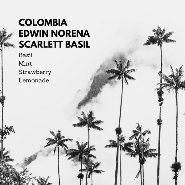 Colombia Edwin Norena Scarlett Basil