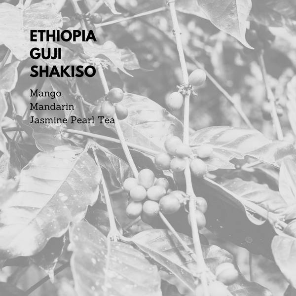 Ethiopia Guji Shakiso