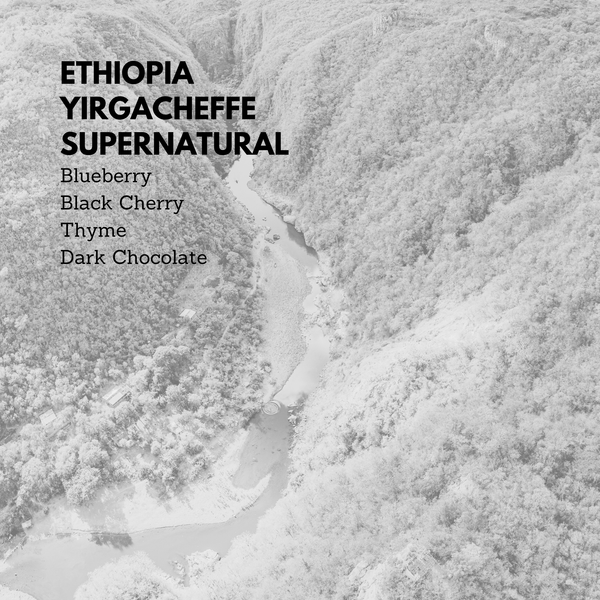 Ethiopia Yirgacheffe Supernatural