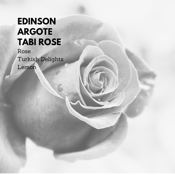 Edinson Argote Tabi Rose