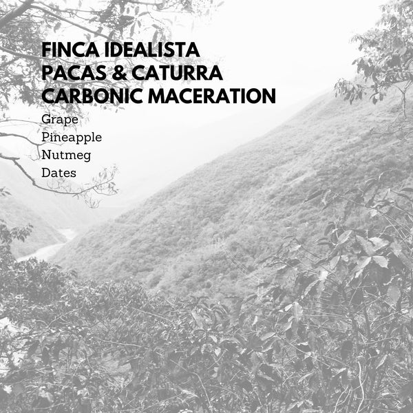 Finca Idealista Pacas & Caturra Carbonic Maceration