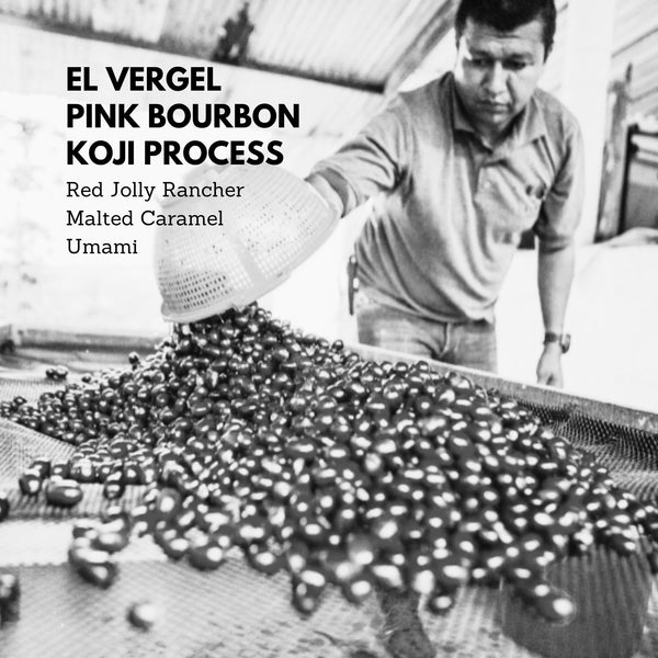 El Vergel Pink Bourbon Koji Process - Green/Unroasted